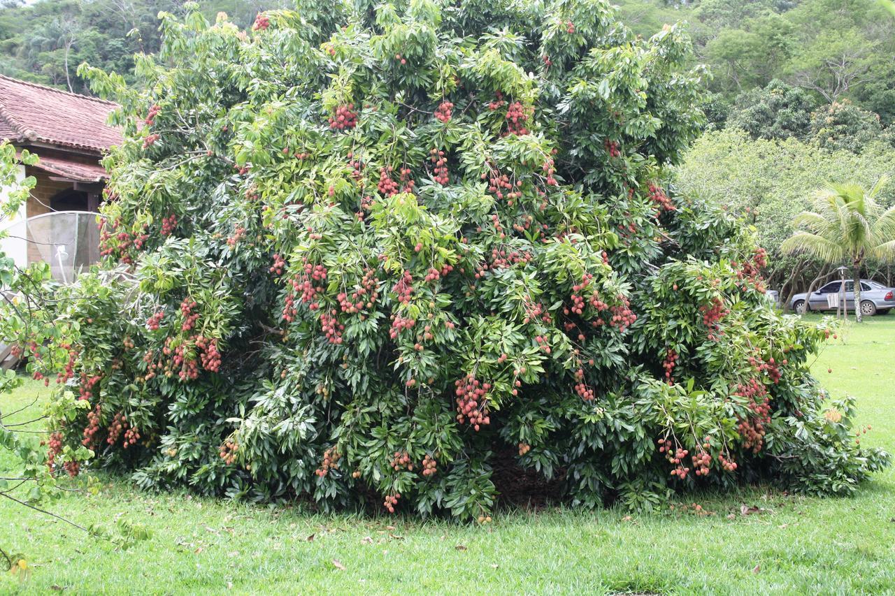 Hotel Fazenda Canario Da Terra Rio Novo Kültér fotó